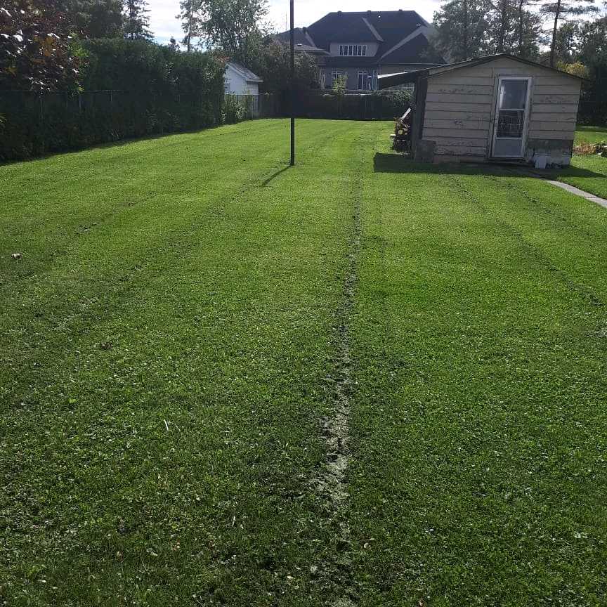 Lahey's Lawn Care