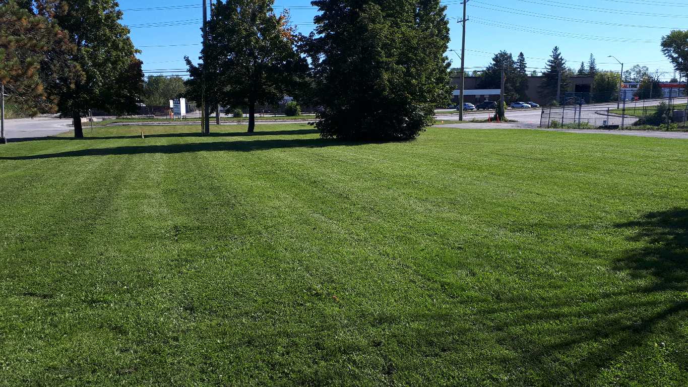 Lahey's Lawn Care