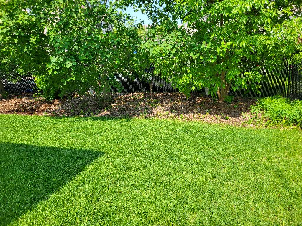 Lahey's Lawn Care