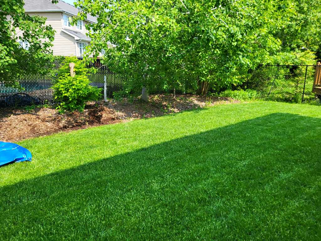 Lahey's Lawn Care