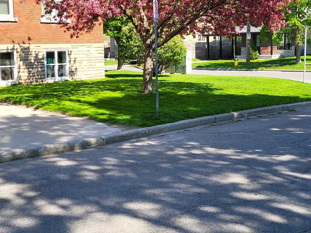 Lahey's Lawn Care