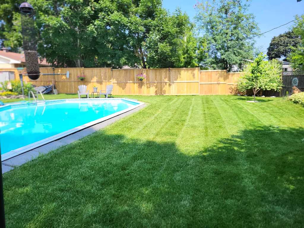 Lahey's Lawn Care