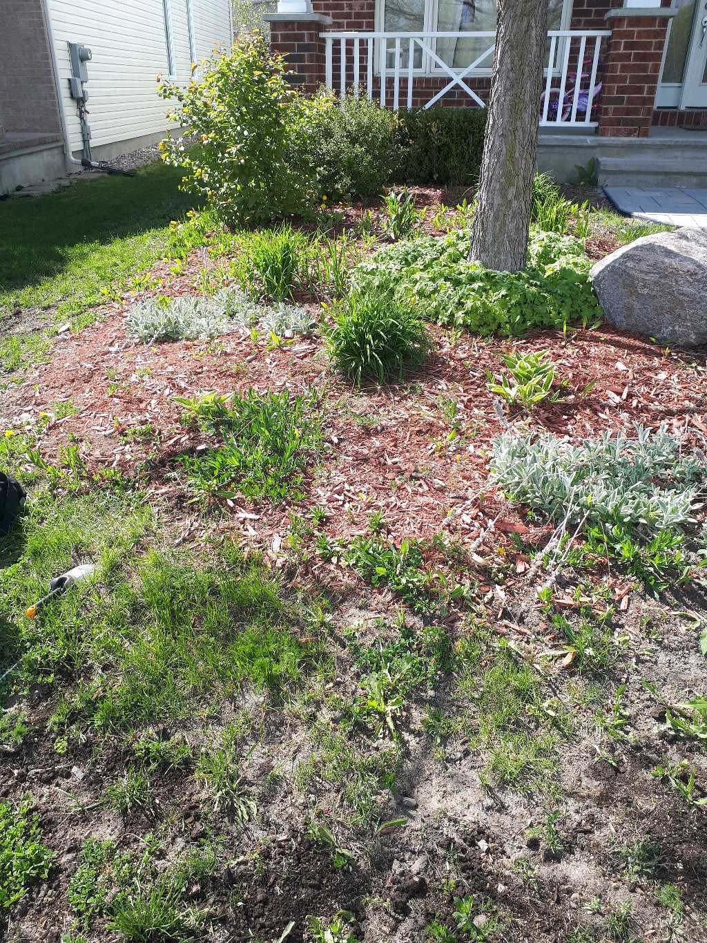 Lahey's Lawn Care