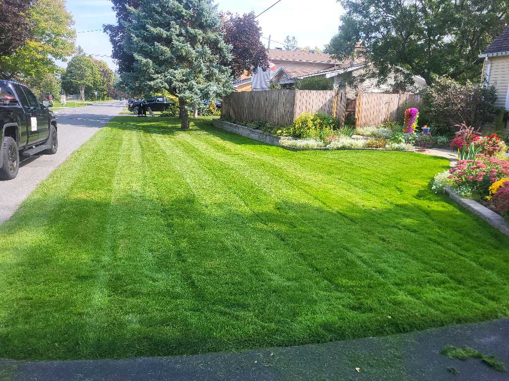Lahey's Lawn Care
