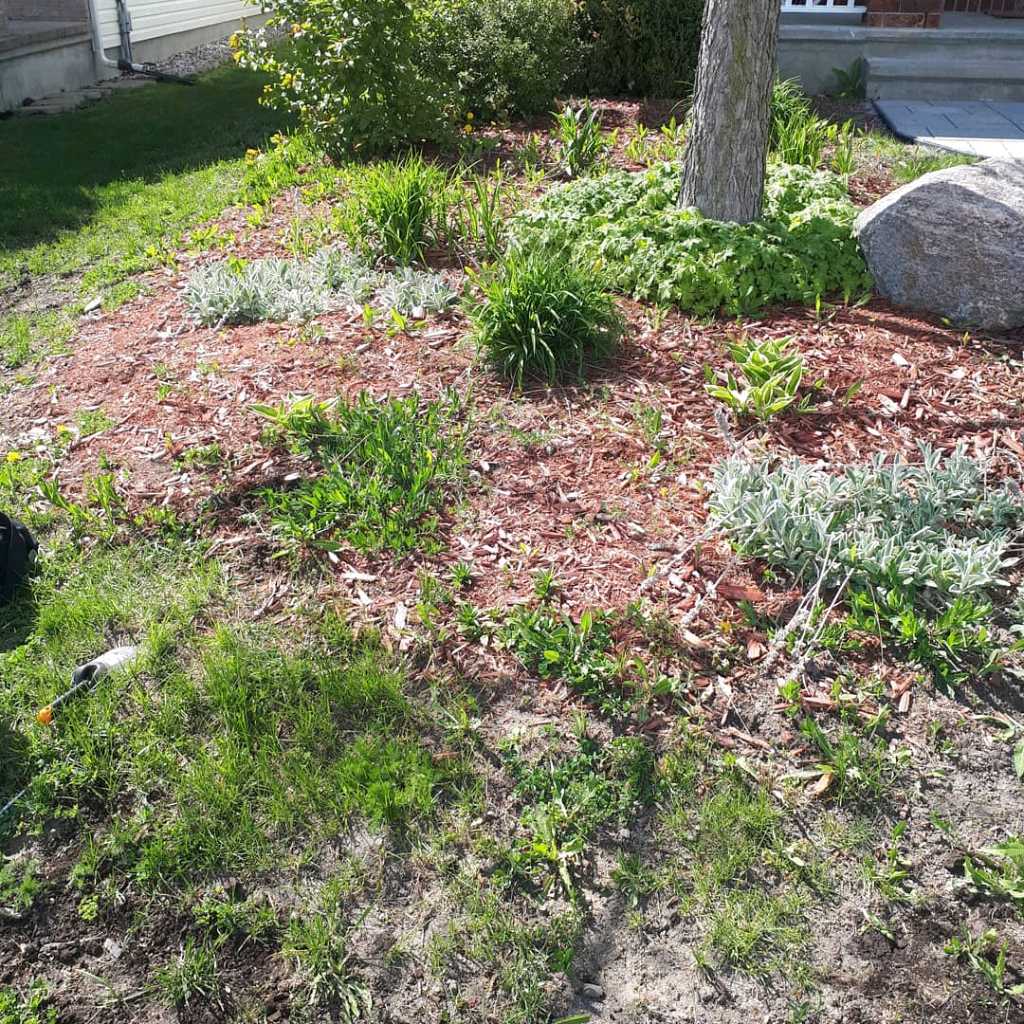 Lahey's Lawn Care