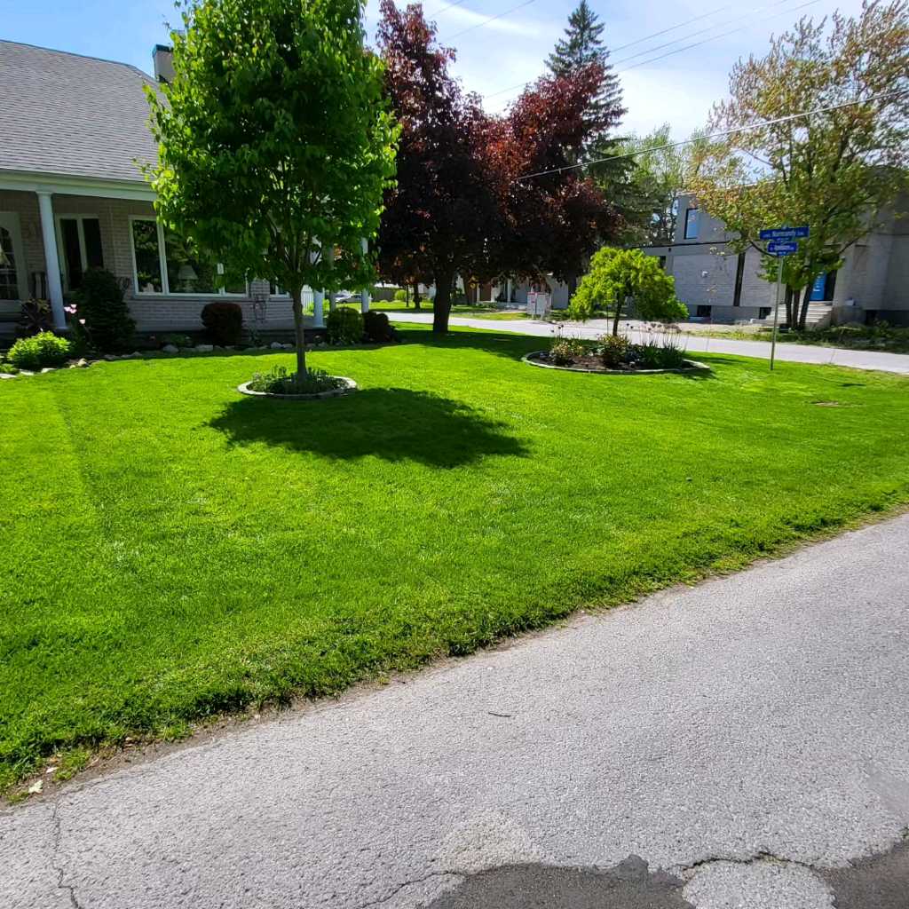 Lahey's Lawn Care