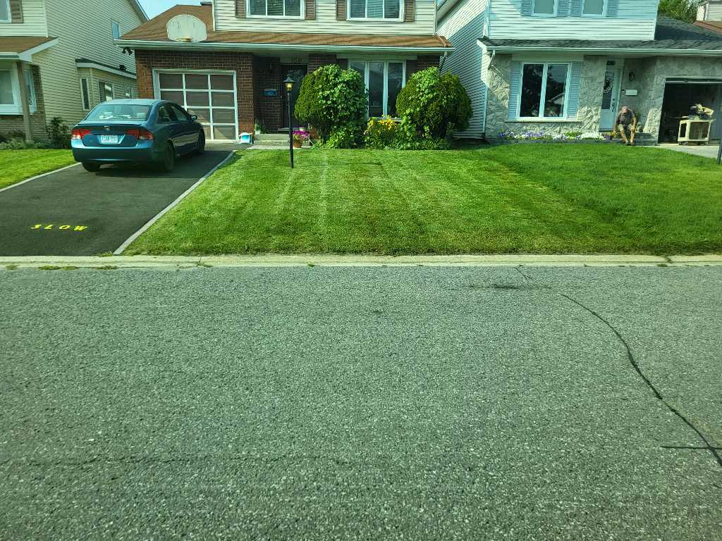 Lahey's Lawn Care
