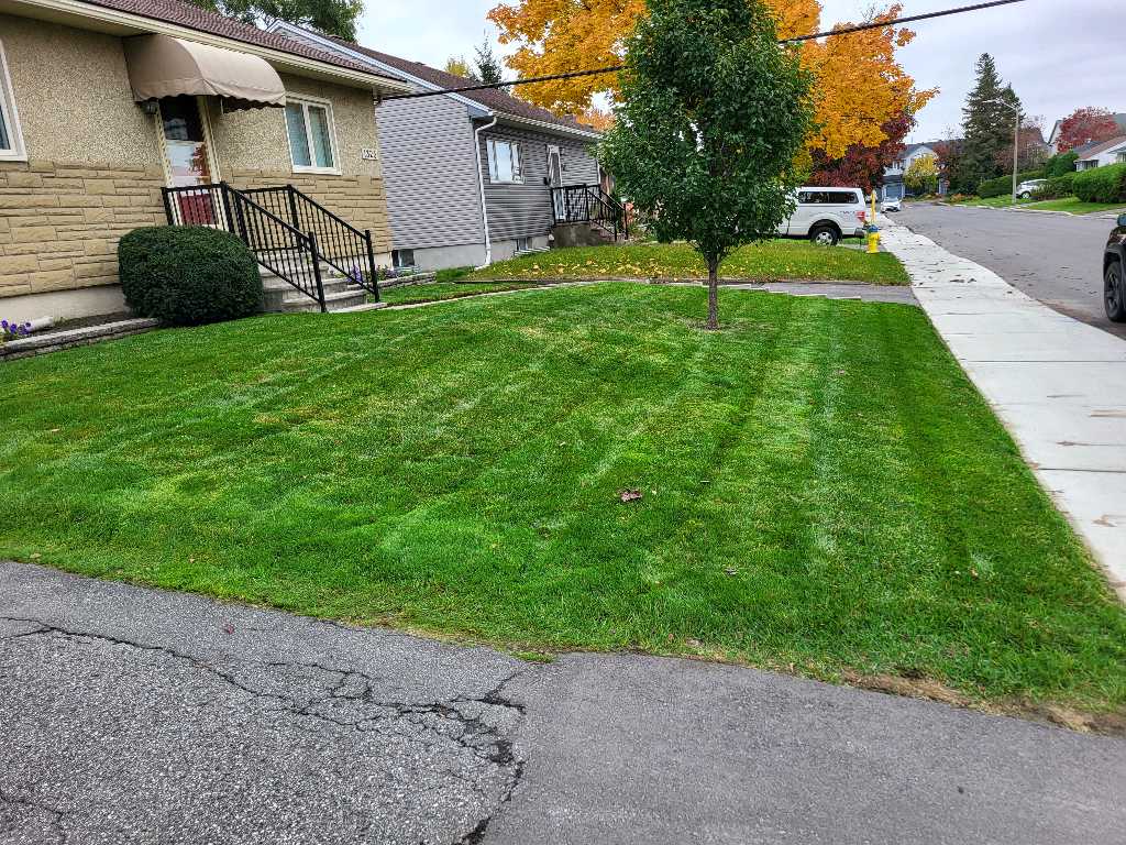 Lahey's Lawn Care