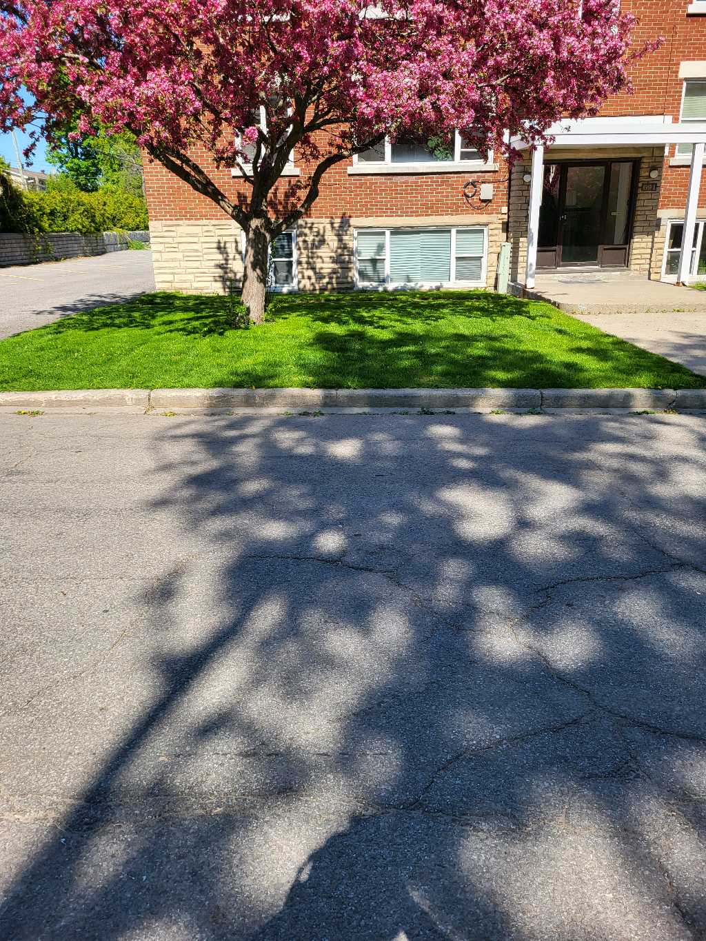 Lahey's Lawn Care