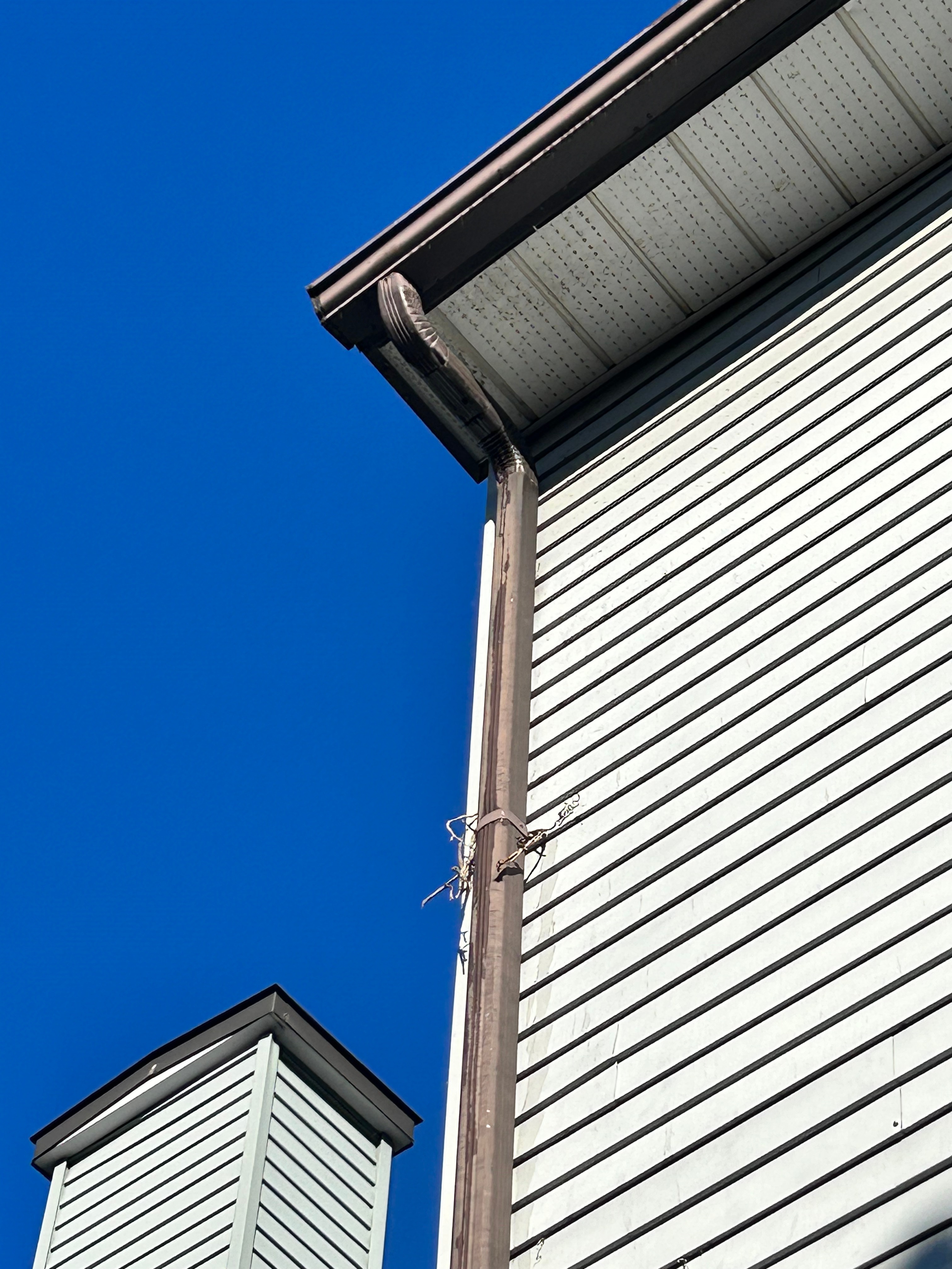 Downspout Replacement / Addition (2nd storey) - $449 + tax